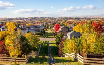 What is the Colorado Roofing Market Like?